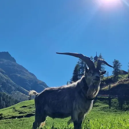 Granbichlhof Lägenhet Sölden