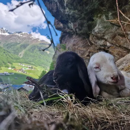 Granbichlhof Lägenhet