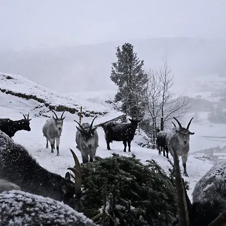 Granbichlhof * Sölden