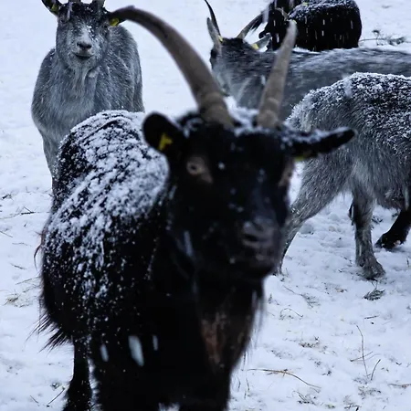 Granbichlhof Lägenhet Sölden