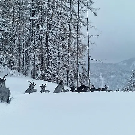 Granbichlhof Lägenhet *