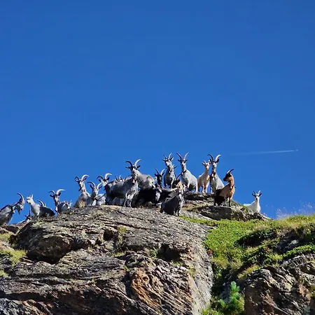 Granbichlhof * Sölden