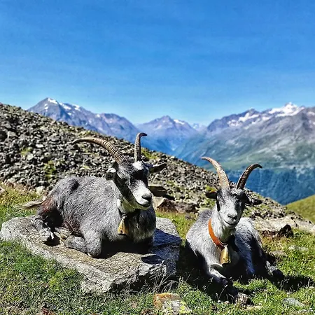 Lägenhet Granbichlhof *