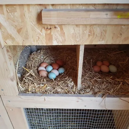 Granbichlhof Lägenhet *