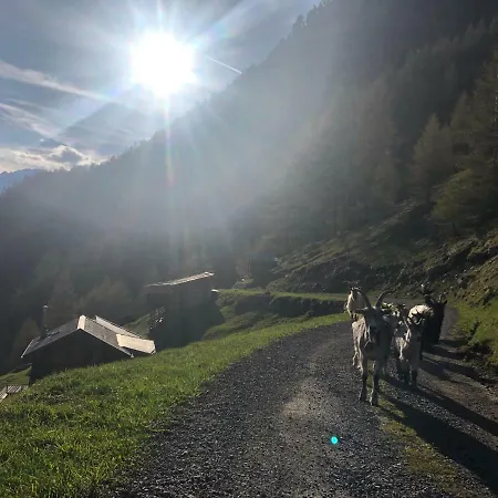 Lägenhet Granbichlhof