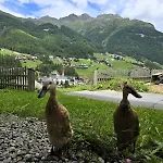 Granbichlhof * Sölden