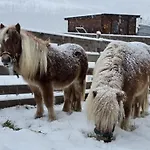 Granbichlhof Daire Sölden