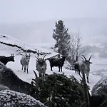 Granbichlhof * Sölden