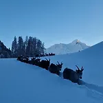 Granbichlhof Sölden