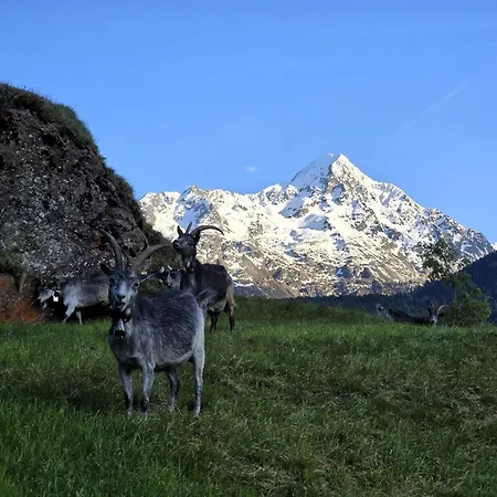 Granbichlhof * Sölden