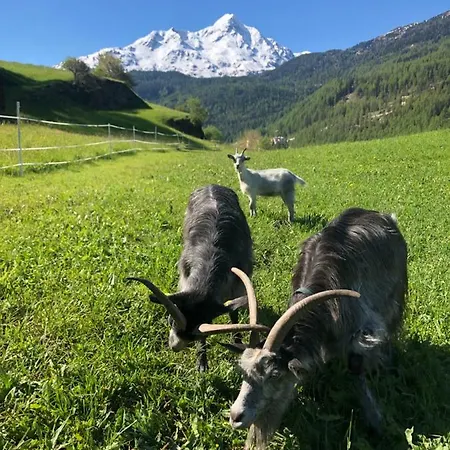 Granbichlhof شقة *