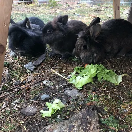 شقة Granbichlhof سولدن