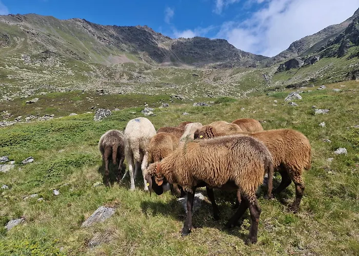 Lejlighed Granbichlhof Sölden