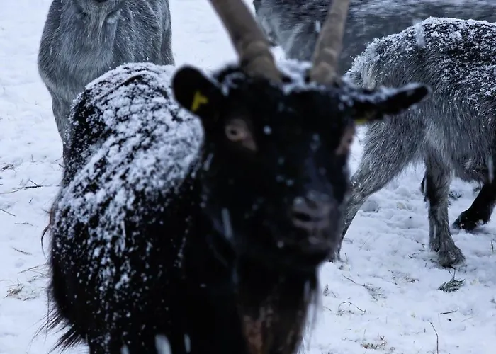 Granbichlhof Apartamento Sölden
