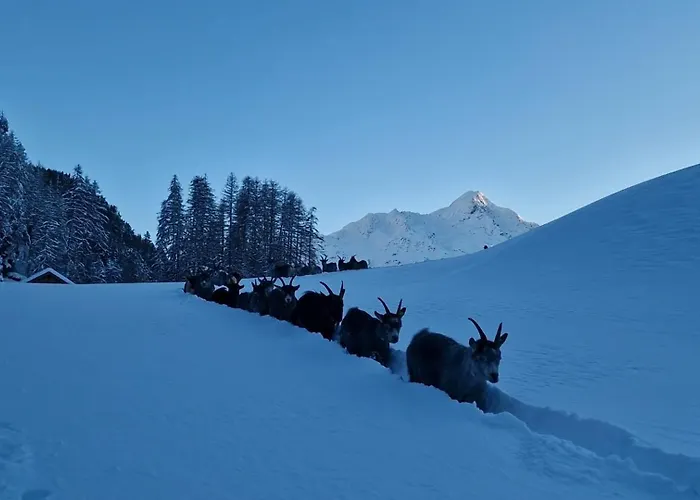 Granbichlhof Зёльден