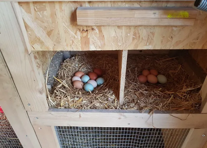 Granbichlhof Апартаменты *