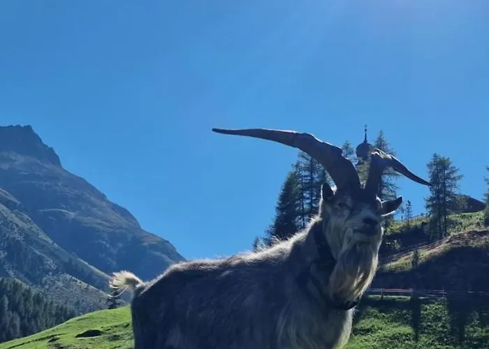 Granbichlhof Apartamento Sölden