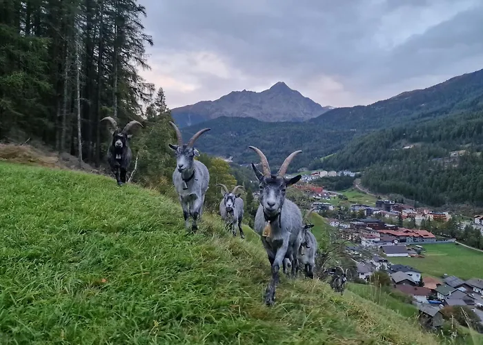 Apartamento Granbichlhof *