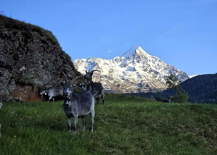 Granbichlhof * Sölden