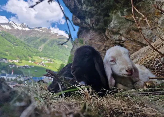 Granbichlhof Apartamento