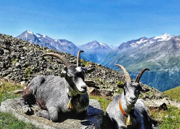 Apartamento Granbichlhof *