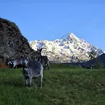 Granbichlhof * Solden
