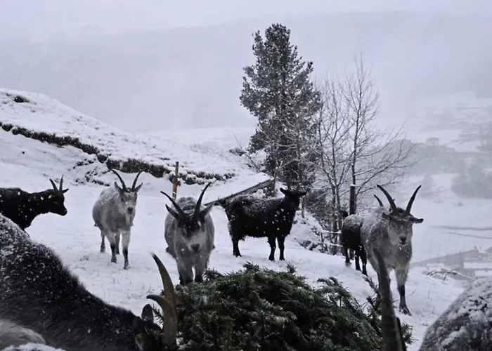Granbichlhof * Sölden